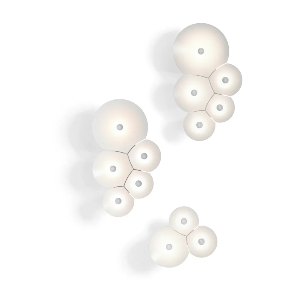 Bulbullia #3